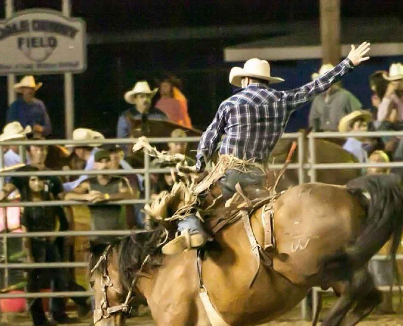 rodeo
