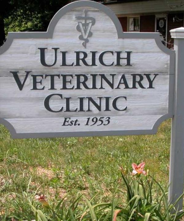 Ulrich Vet Dongola Illinois