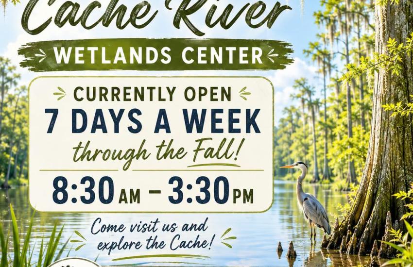 Cache River