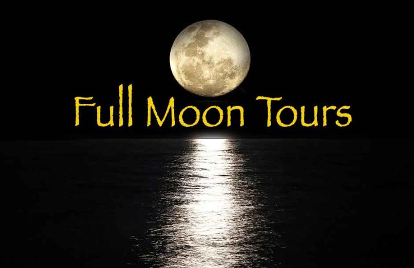 Full Moon Kayak Tours on Cache River Ullin, Illinois