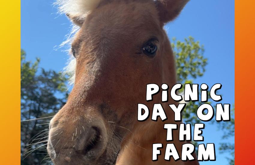 Picnic day on the Farm Ullin Illinois