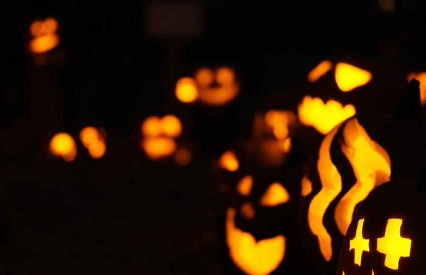 pumpkin glow